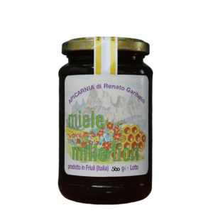 MIELE DI MILLEFIORI DI PIANURA